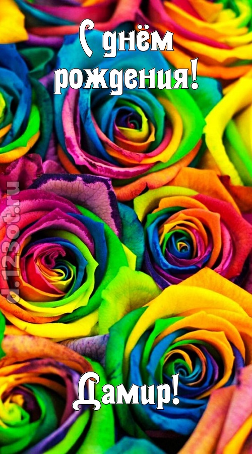 мятежная открытка с днём рождения дамир, скачать онлайн бесплатно на iphone для вацап, поздравление дамир