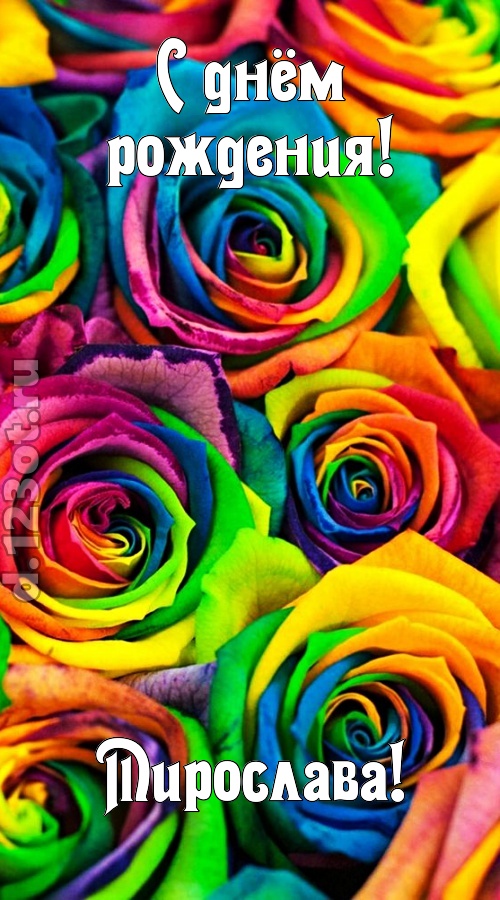 мятежная открытка с днём рождения мирослава, скачать онлайн бесплатно на iphone для вацап, поздравление мирослава