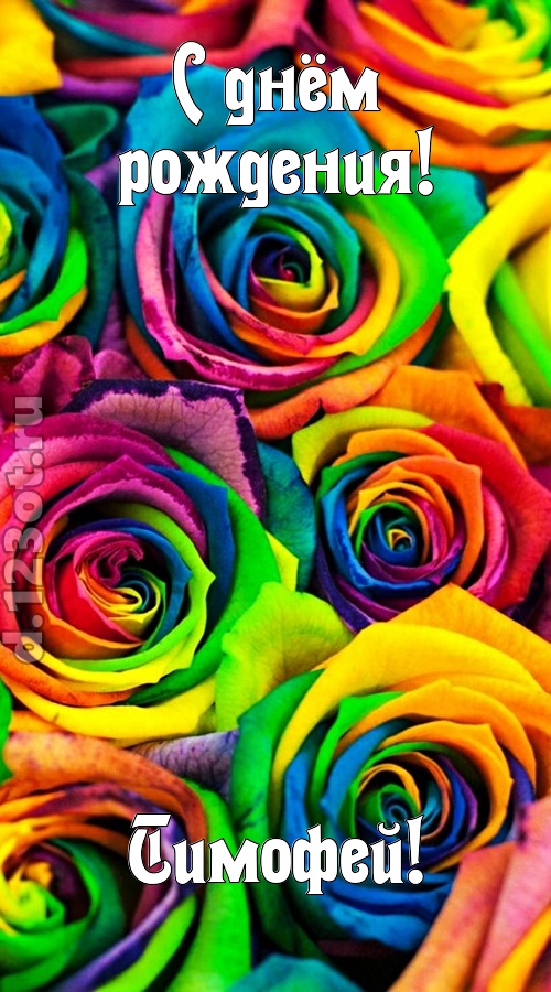 мятежная открытка с днём рождения тимофей, скачать онлайн бесплатно на iphone для вацап, поздравление тимофей
