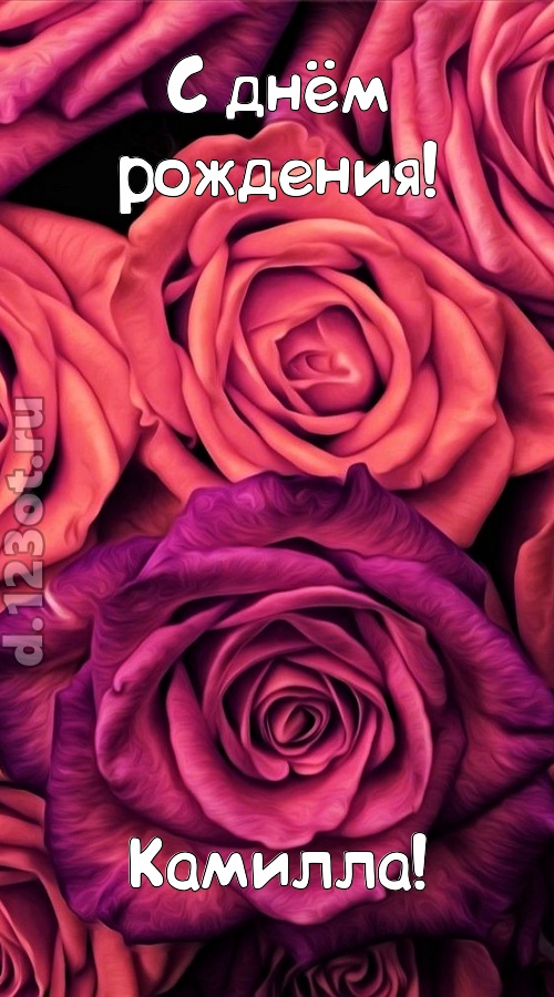 на прочность временем проверенная открытка с днём рождения камилла, скачать онлайн бесплатно на iphone для вацап, поздравление камилла