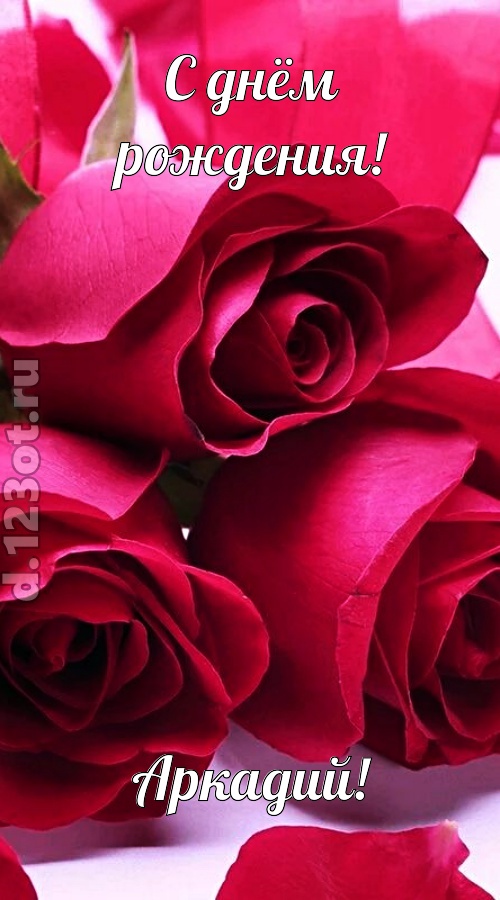 насмешливая открытка с днём рождения аркадий, скачать онлайн бесплатно на iphone для вацап, поздравление аркадий