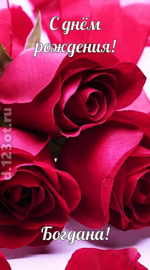 насмешливая открытка с днём рождения богдана, скачать онлайн бесплатно на iphone для вацап, поздравление богдана