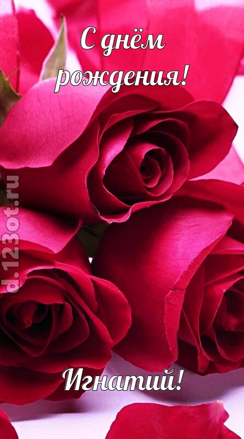 насмешливая открытка с днём рождения игнатий, скачать онлайн бесплатно на iphone для вацап, поздравление игнатий