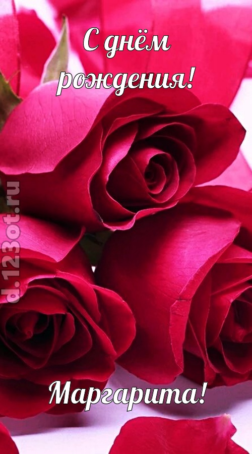 насмешливая открытка с днём рождения маргарита, скачать онлайн бесплатно на iphone для вацап, поздравление маргарита
