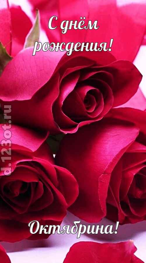 насмешливая открытка с днём рождения октябрина, скачать онлайн бесплатно на iphone для вацап, поздравление октябрина