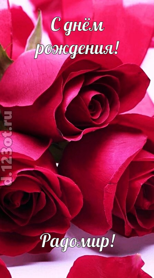 насмешливая открытка с днём рождения радомир, скачать онлайн бесплатно на iphone для вацап, поздравление радомир