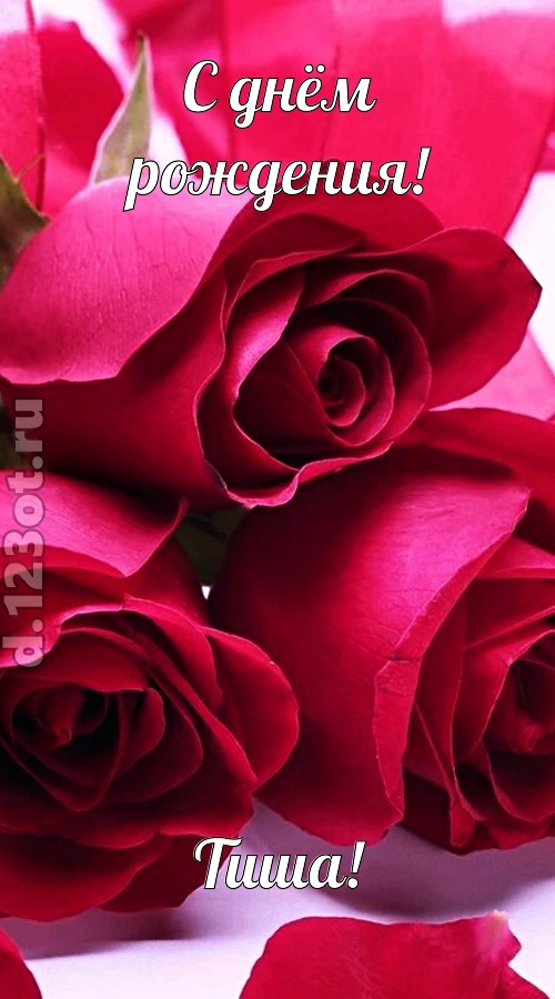 насмешливая открытка с днём рождения тиша, скачать онлайн бесплатно на iphone для вацап, поздравление тиша