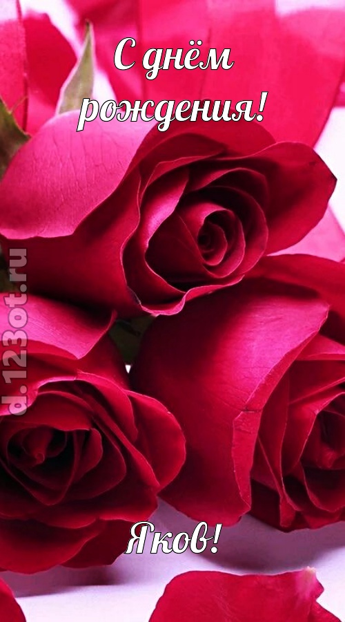 насмешливая открытка с днём рождения яков, скачать онлайн бесплатно на iphone для вацап, поздравление яков