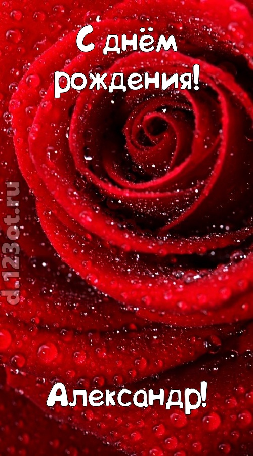 невозможная открытка с днём рождения александр, скачать онлайн бесплатно на iphone для вацап, поздравление александр