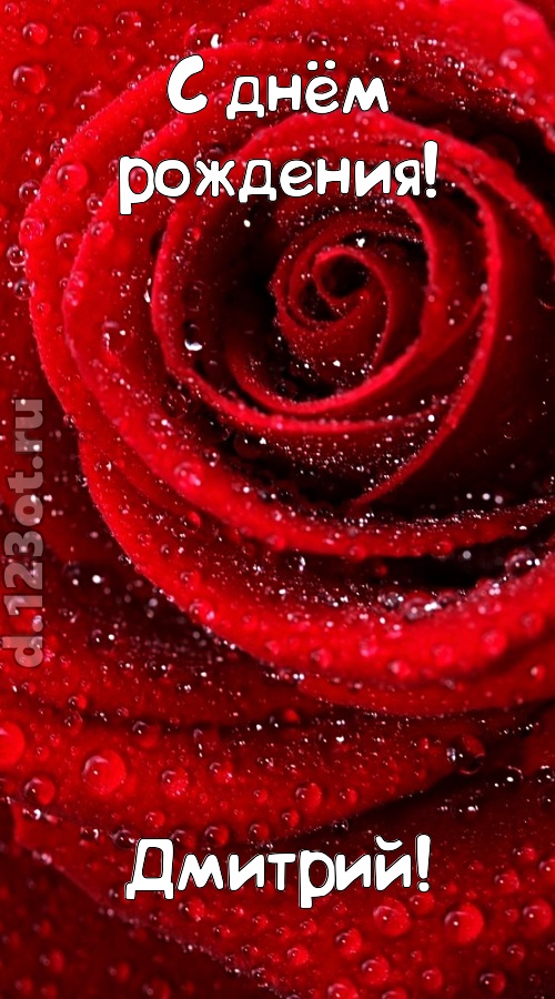 невозможная открытка с днём рождения дмитрий, скачать онлайн бесплатно на iphone для вацап, поздравление дмитрий