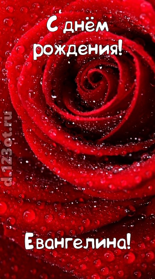 невозможная открытка с днём рождения евангелина, скачать онлайн бесплатно на iphone для вацап, поздравление евангелина