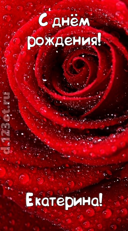 невозможная открытка с днём рождения екатерина, скачать онлайн бесплатно на iphone для вацап, поздравление екатерина