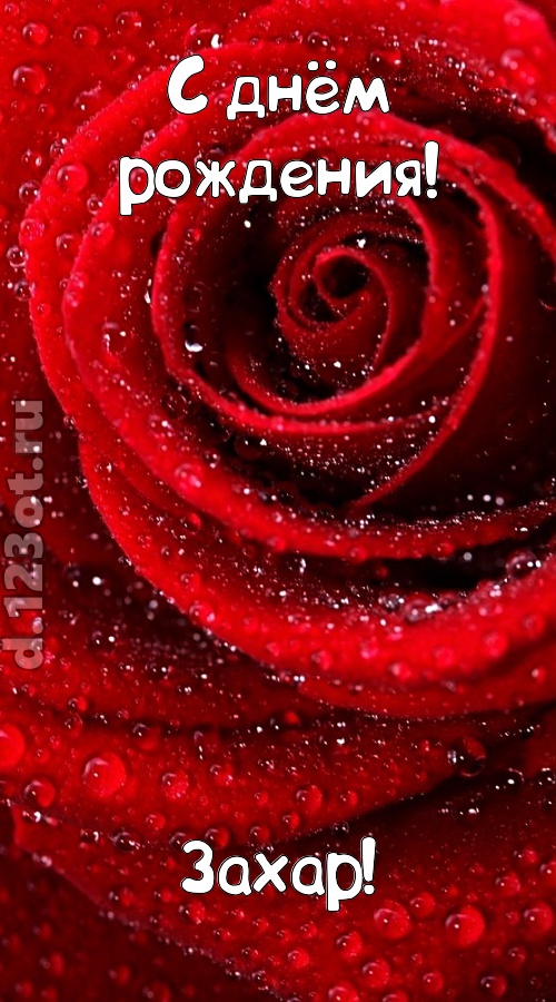 невозможная открытка с днём рождения захар, скачать онлайн бесплатно на iphone для вацап, поздравление захар