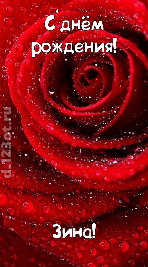 невозможная открытка с днём рождения зина, скачать онлайн бесплатно на iphone для вацап, поздравление зина