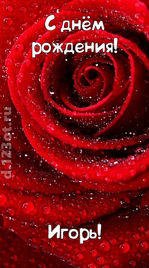 невозможная открытка с днём рождения игорь, скачать онлайн бесплатно на iphone для вацап, поздравление игорь