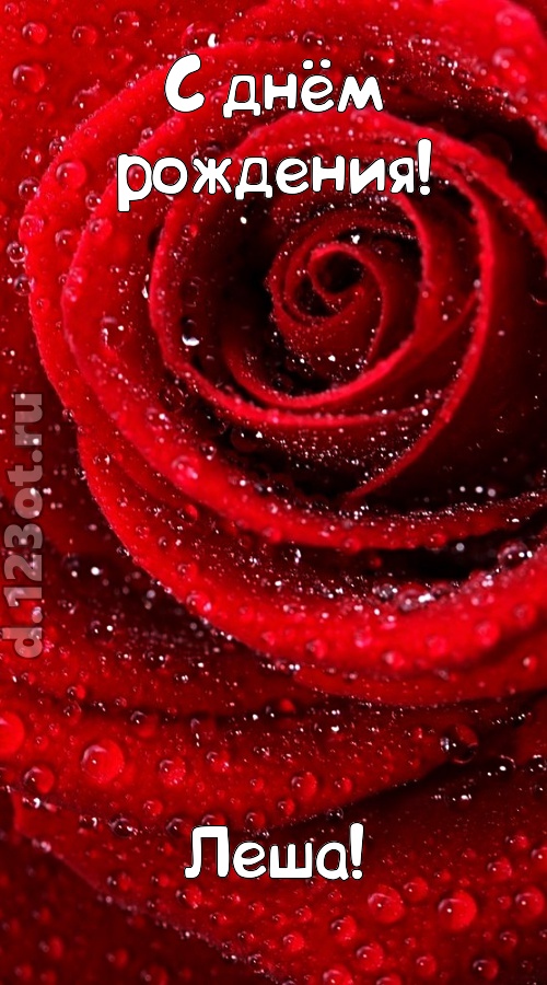 невозможная открытка с днём рождения леша, скачать онлайн бесплатно на iphone для вацап, поздравление леша