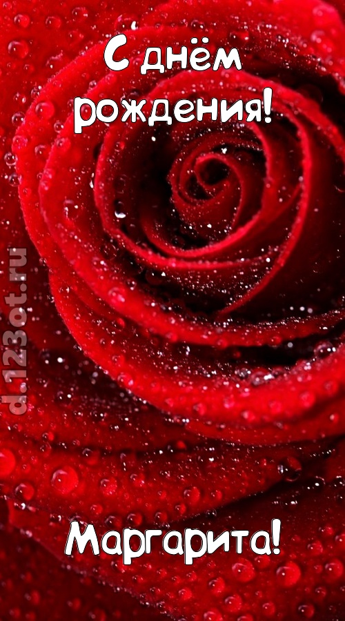 невозможная открытка с днём рождения маргарита, скачать онлайн бесплатно на iphone для вацап, поздравление маргарита