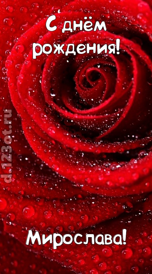 невозможная открытка с днём рождения мирослава, скачать онлайн бесплатно на iphone для вацап, поздравление мирослава