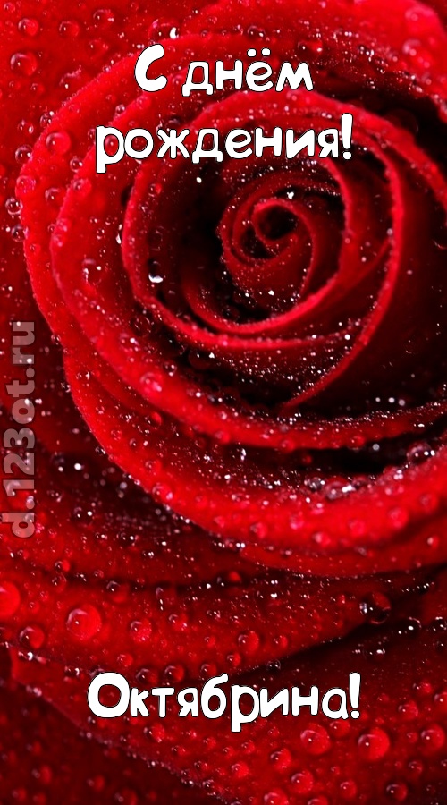 невозможная открытка с днём рождения октябрина, скачать онлайн бесплатно на iphone для вацап, поздравление октябрина