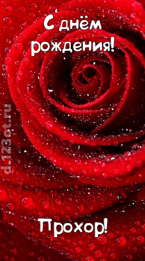 невозможная открытка с днём рождения прохор, скачать онлайн бесплатно на iphone для вацап, поздравление прохор