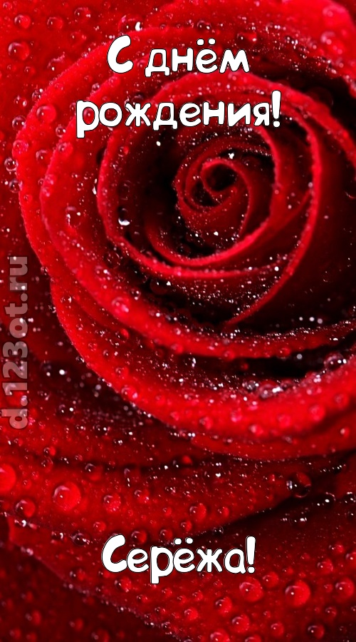 невозможная открытка с днём рождения серёжа, скачать онлайн бесплатно на iphone для вацап, поздравление серёжа