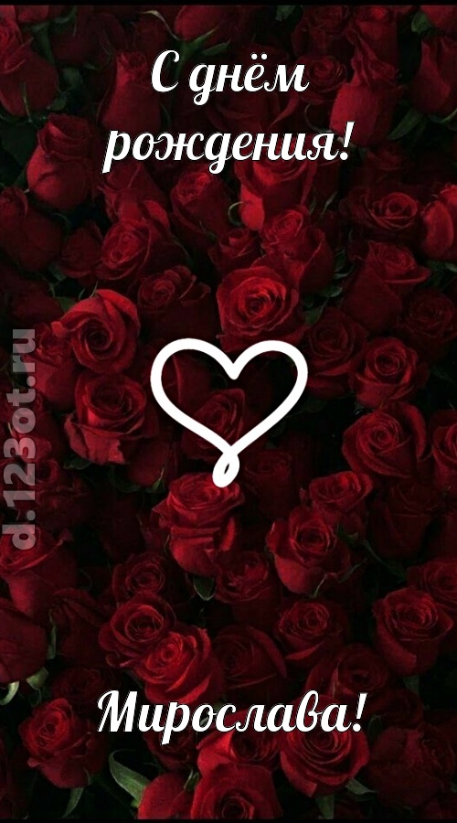 невообразимая открытка с днём рождения мирослава, скачать онлайн бесплатно на iphone для вацап, поздравление мирослава