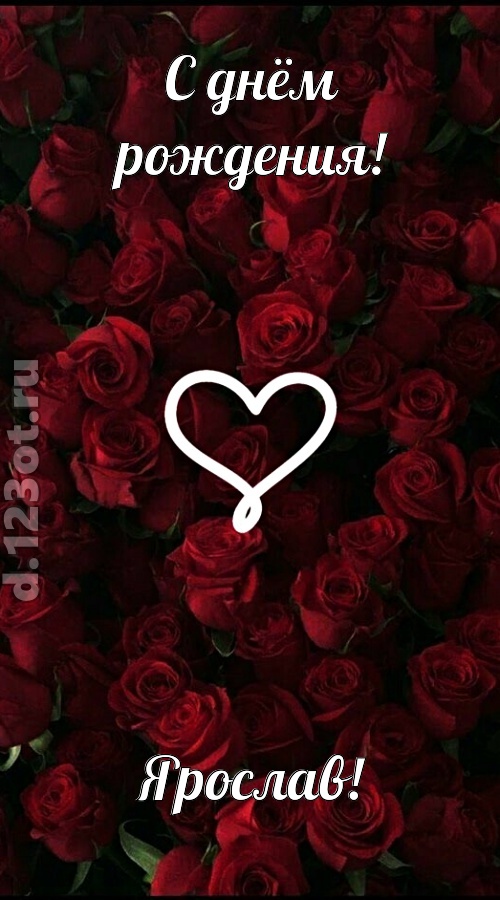 невообразимая открытка с днём рождения ярослав, скачать онлайн бесплатно на iphone для вацап, поздравление ярослав