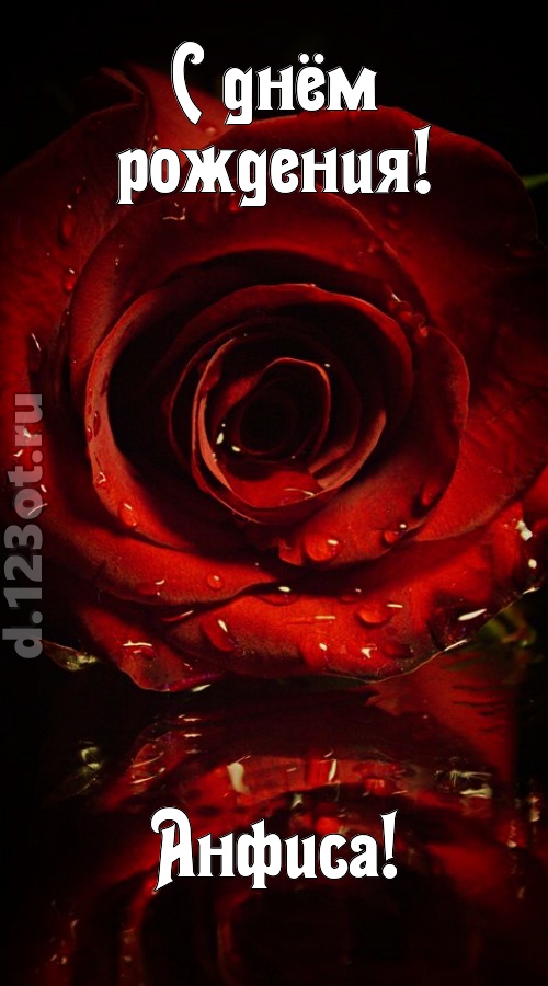 недоступная открытка с днём рождения анфиса, скачать онлайн бесплатно на iphone для вацап, поздравление анфиса