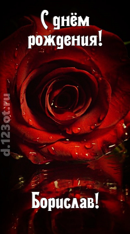 недоступная открытка с днём рождения борислав, скачать онлайн бесплатно на iphone для вацап, поздравление борислав