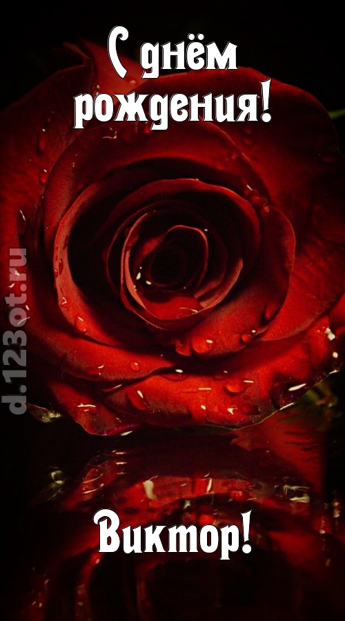 недоступная открытка с днём рождения виктор, скачать онлайн бесплатно на iphone для вацап, поздравление виктор