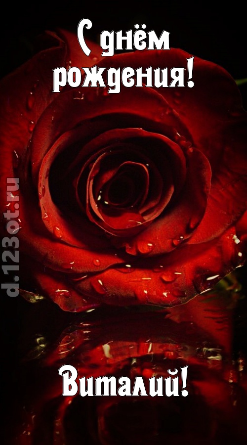 недоступная открытка с днём рождения виталий, скачать онлайн бесплатно на iphone для вацап, поздравление виталий