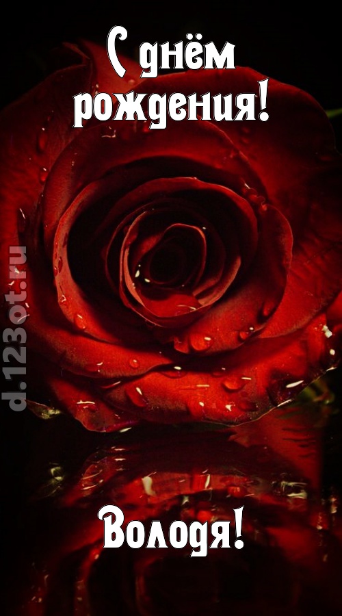 недоступная открытка с днём рождения володя, скачать онлайн бесплатно на iphone для вацап, поздравление володя
