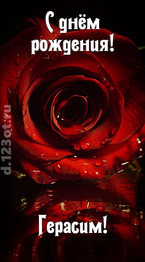 недоступная открытка с днём рождения герасим, скачать онлайн бесплатно на iphone для вацап, поздравление герасим
