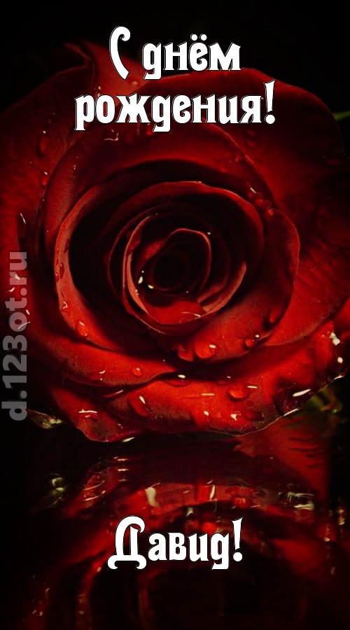 недоступная открытка с днём рождения давид, скачать онлайн бесплатно на iphone для вацап, поздравление давид