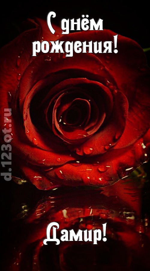 недоступная открытка с днём рождения дамир, скачать онлайн бесплатно на iphone для вацап, поздравление дамир