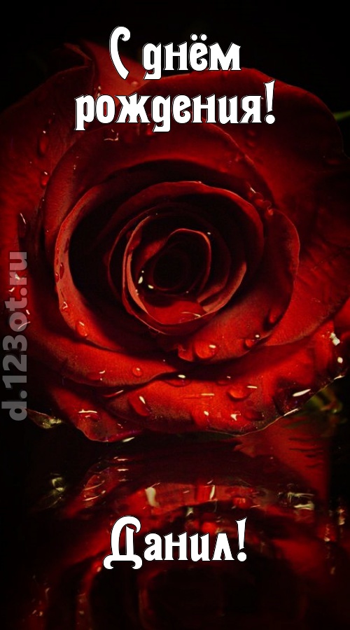 недоступная открытка с днём рождения данил, скачать онлайн бесплатно на iphone для вацап, поздравление данил