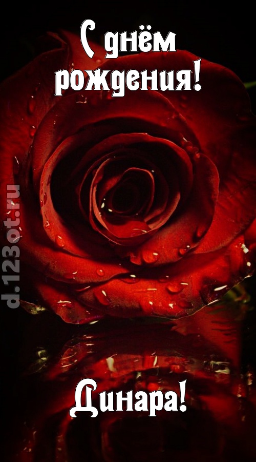 недоступная открытка с днём рождения динара, скачать онлайн бесплатно на iphone для вацап, поздравление динара