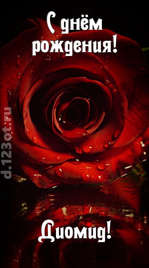 недоступная открытка с днём рождения диомид, скачать онлайн бесплатно на iphone для вацап, поздравление диомид