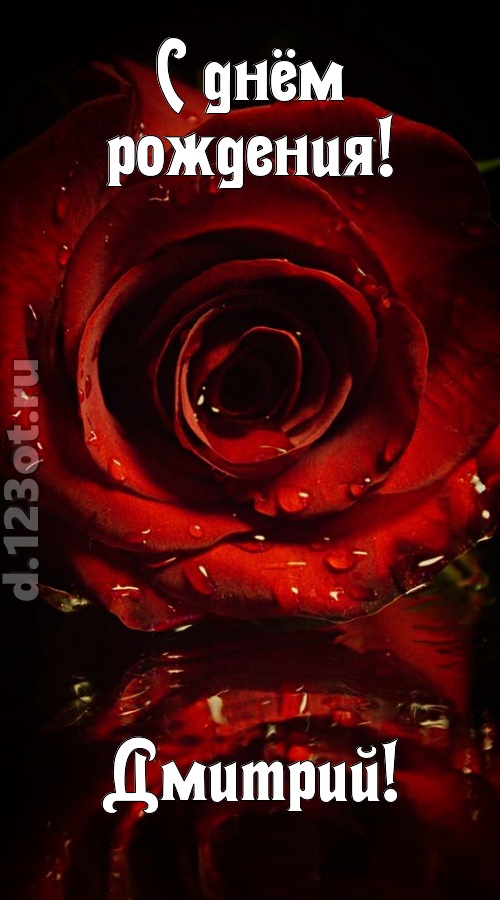 недоступная открытка с днём рождения дмитрий, скачать онлайн бесплатно на iphone для вацап, поздравление дмитрий