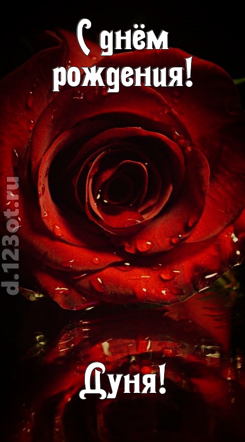недоступная открытка с днём рождения дуня, скачать онлайн бесплатно на iphone для вацап, поздравление дуня