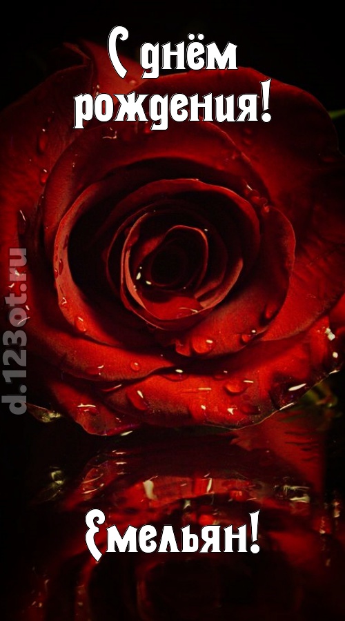недоступная открытка с днём рождения емельян, скачать онлайн бесплатно на iphone для вацап, поздравление емельян