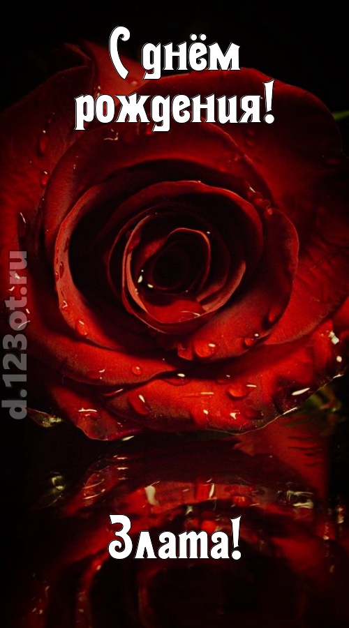 недоступная открытка с днём рождения злата, скачать онлайн бесплатно на iphone для вацап, поздравление злата