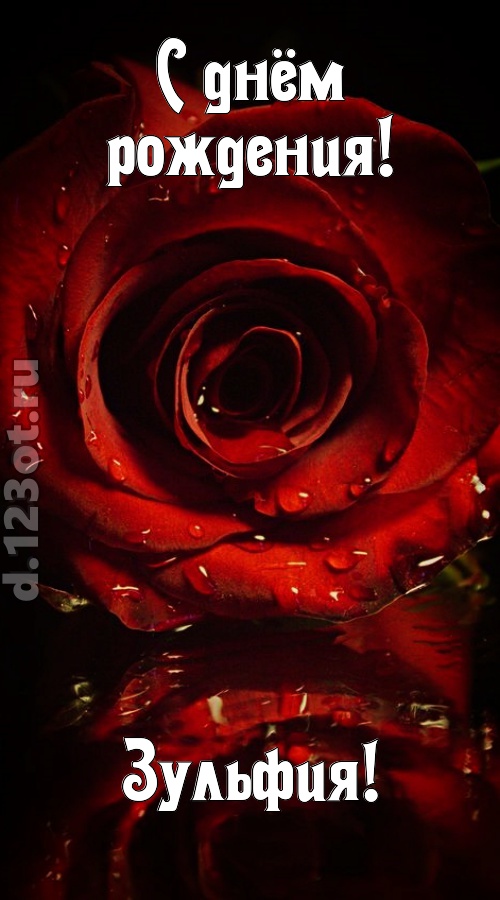 недоступная открытка с днём рождения зульфия, скачать онлайн бесплатно на iphone для вацап, поздравление зульфия