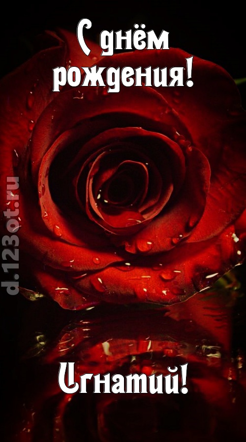 недоступная открытка с днём рождения игнатий, скачать онлайн бесплатно на iphone для вацап, поздравление игнатий