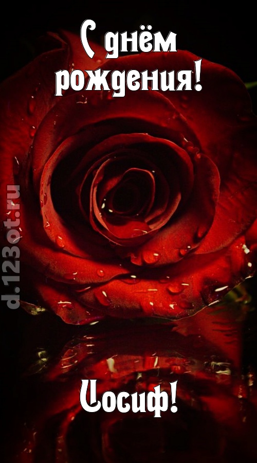 недоступная открытка с днём рождения иосиф, скачать онлайн бесплатно на iphone для вацап, поздравление иосиф