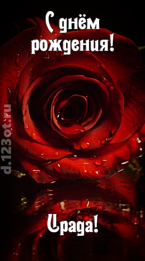 недоступная открытка с днём рождения ирада, скачать онлайн бесплатно на iphone для вацап, поздравление ирада