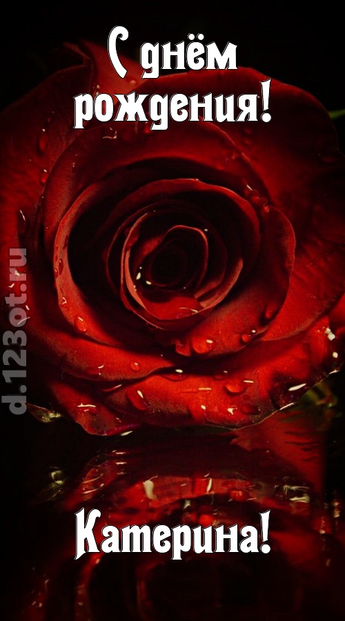 недоступная открытка с днём рождения катерина, скачать онлайн бесплатно на iphone для вацап, поздравление катерина