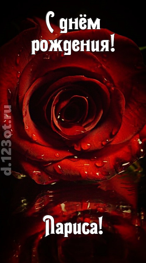 недоступная открытка с днём рождения лариса, скачать онлайн бесплатно на iphone для вацап, поздравление лариса