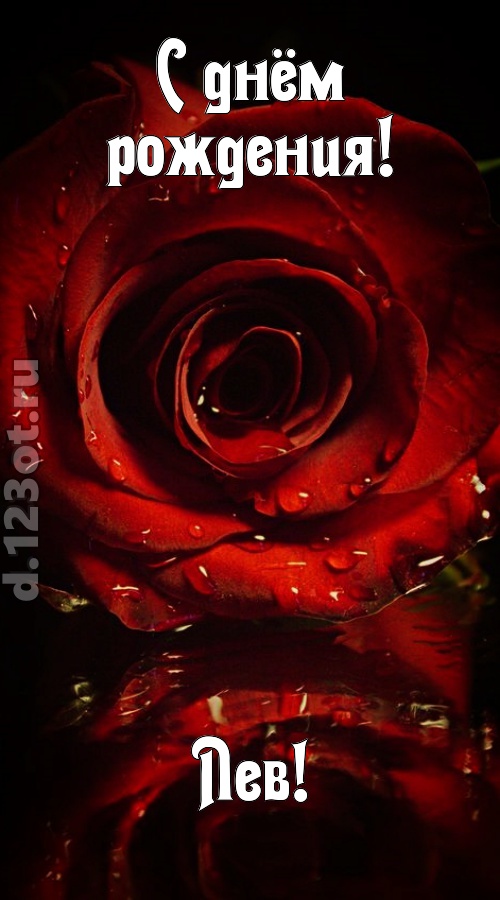 недоступная открытка с днём рождения лев, скачать онлайн бесплатно на iphone для вацап, поздравление лев