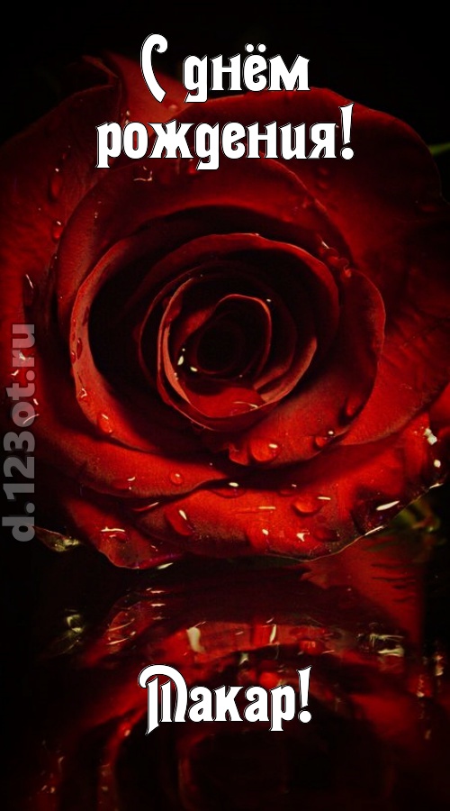 недоступная открытка с днём рождения макар, скачать онлайн бесплатно на iphone для вацап, поздравление макар